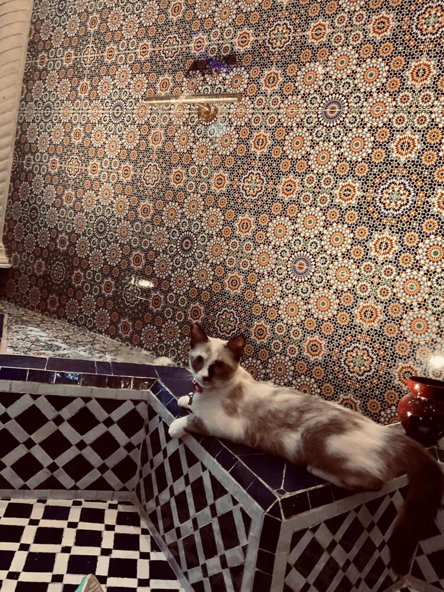 Riad Lalla Merieme Marakéš Exteriér fotografie
